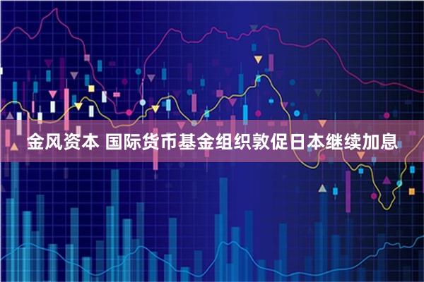 金风资本 国际货币基金组织敦促日本继续加息