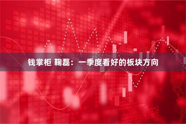 钱掌柜 鞠磊：一季度看好的板块方向