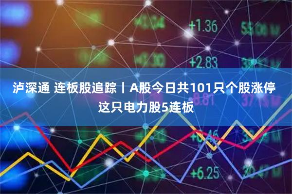 泸深通 连板股追踪丨A股今日共101只个股涨停 这只电力股5连板
