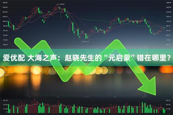 爱优配 大海之声：赵晓先生的“元启蒙”错在哪里？