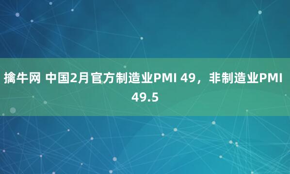 擒牛网 中国2月官方制造业PMI 49，非制造业PMI 49.5