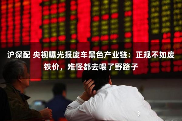 沪深配 央视曝光报废车黑色产业链：正规不如废铁价，难怪都去喂了野路子