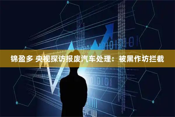 锦盈多 央视探访报废汽车处理：被黑作坊拦截