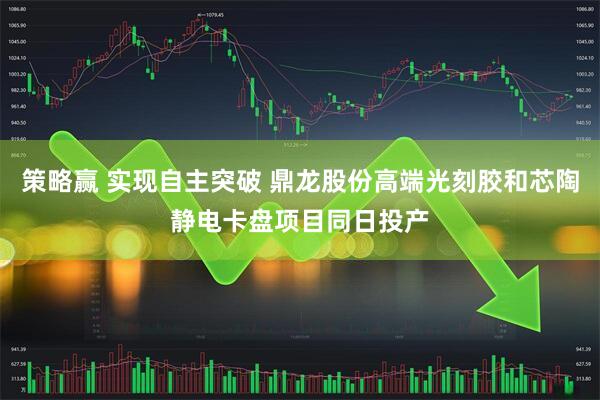 策略赢 实现自主突破 鼎龙股份高端光刻胶和芯陶静电卡盘项目同日投产