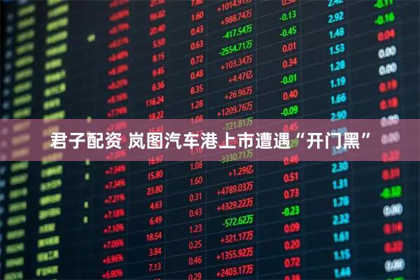 君子配资 岚图汽车港上市遭遇“开门黑”