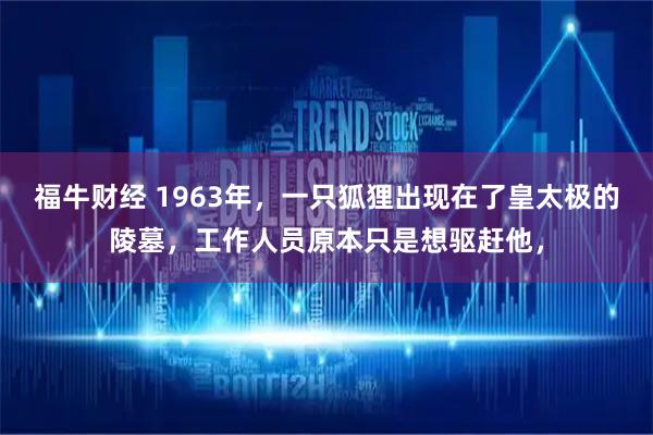 福牛财经 1963年，一只狐狸出现在了皇太极的陵墓，工作人员原本只是想驱赶他，