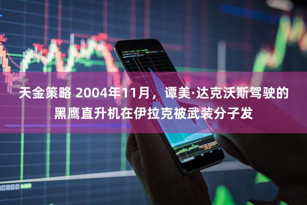 天金策略 2004年11月，谭美·达克沃斯驾驶的黑鹰直升机在伊拉克被武装分子发