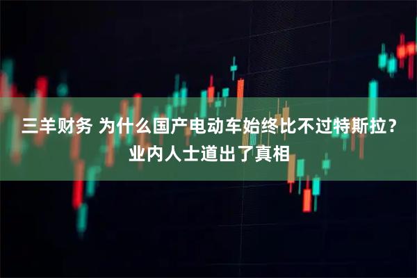 三羊财务 为什么国产电动车始终比不过特斯拉？业内人士道出了真相