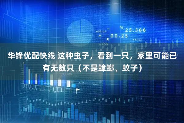 华锋优配快线 这种虫子，看到一只，家里可能已有无数只（不是蟑螂、蚊子）