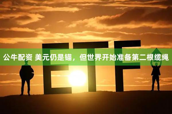 公牛配资 美元仍是锚,但世界开始准备第二根缆绳