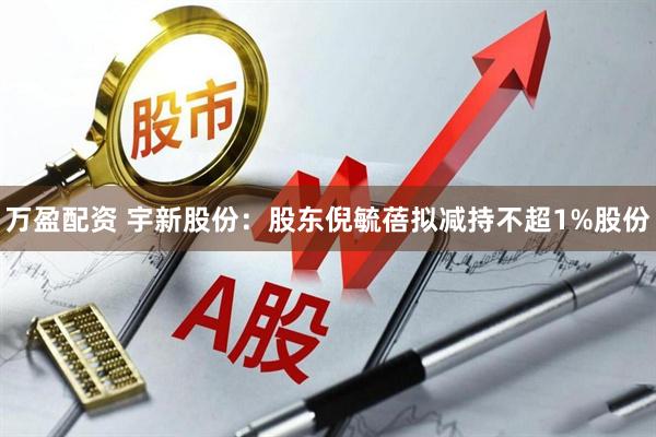 万盈配资 宇新股份:股东倪毓蓓拟减持不超1%股份