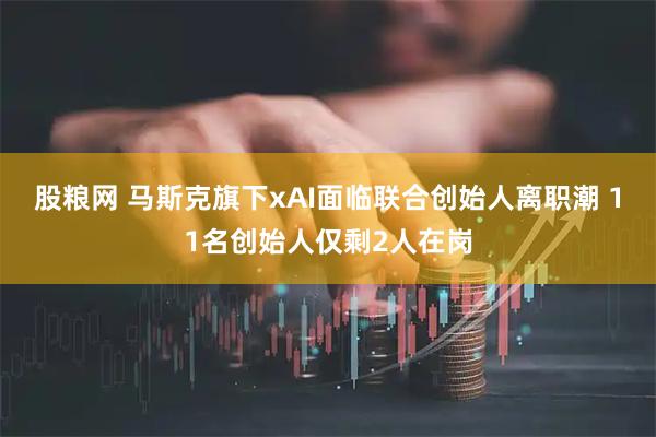 股粮网 马斯克旗下xAI面临联合创始人离职潮 11名创始人仅剩2人在岗