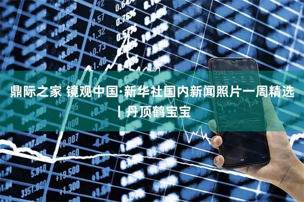 鼎际之家 镜观中国·新华社国内新闻照片一周精选丨丹顶鹤宝宝