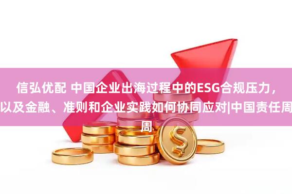信弘优配 中国企业出海过程中的ESG合规压力,以及金融、准则和企业实践如何协同应对|中国责任周