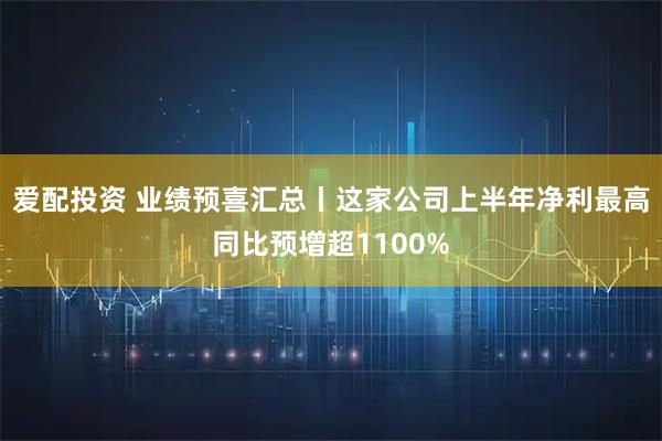 爱配投资 业绩预喜汇总丨这家公司上半年净利最高同比预增超1100%