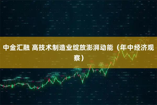 中金汇融 高技术制造业绽放澎湃动能(年中经济观察)