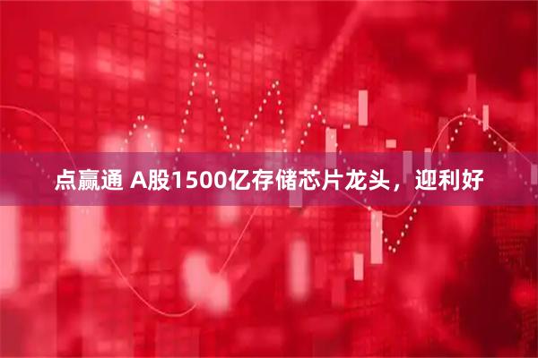 点赢通 A股1500亿存储芯片龙头，迎利好