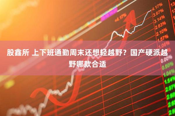 股鑫所 上下班通勤周末还想轻越野？国产硬派越野哪款合适